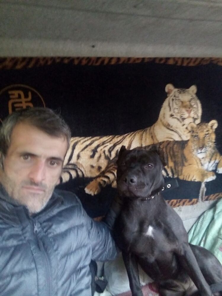  53725801  Vagram, 42 ,    