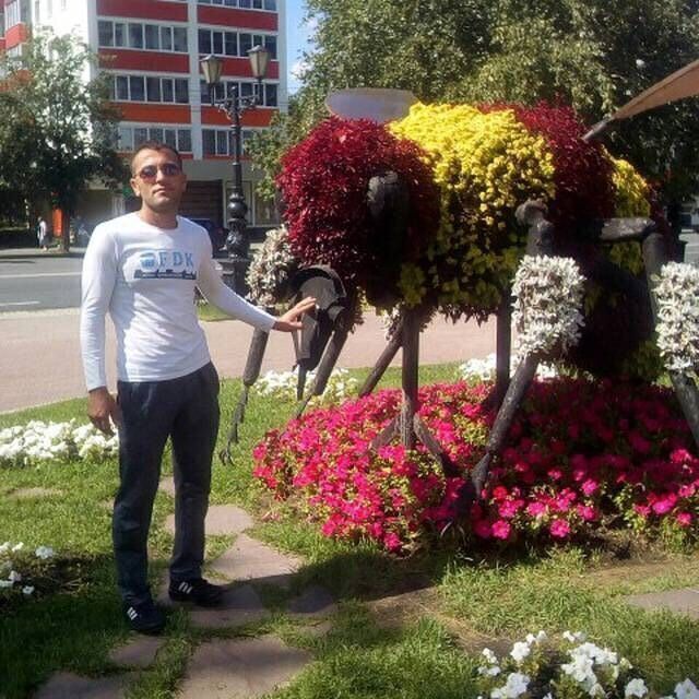  ,   , 38 ,   ,   