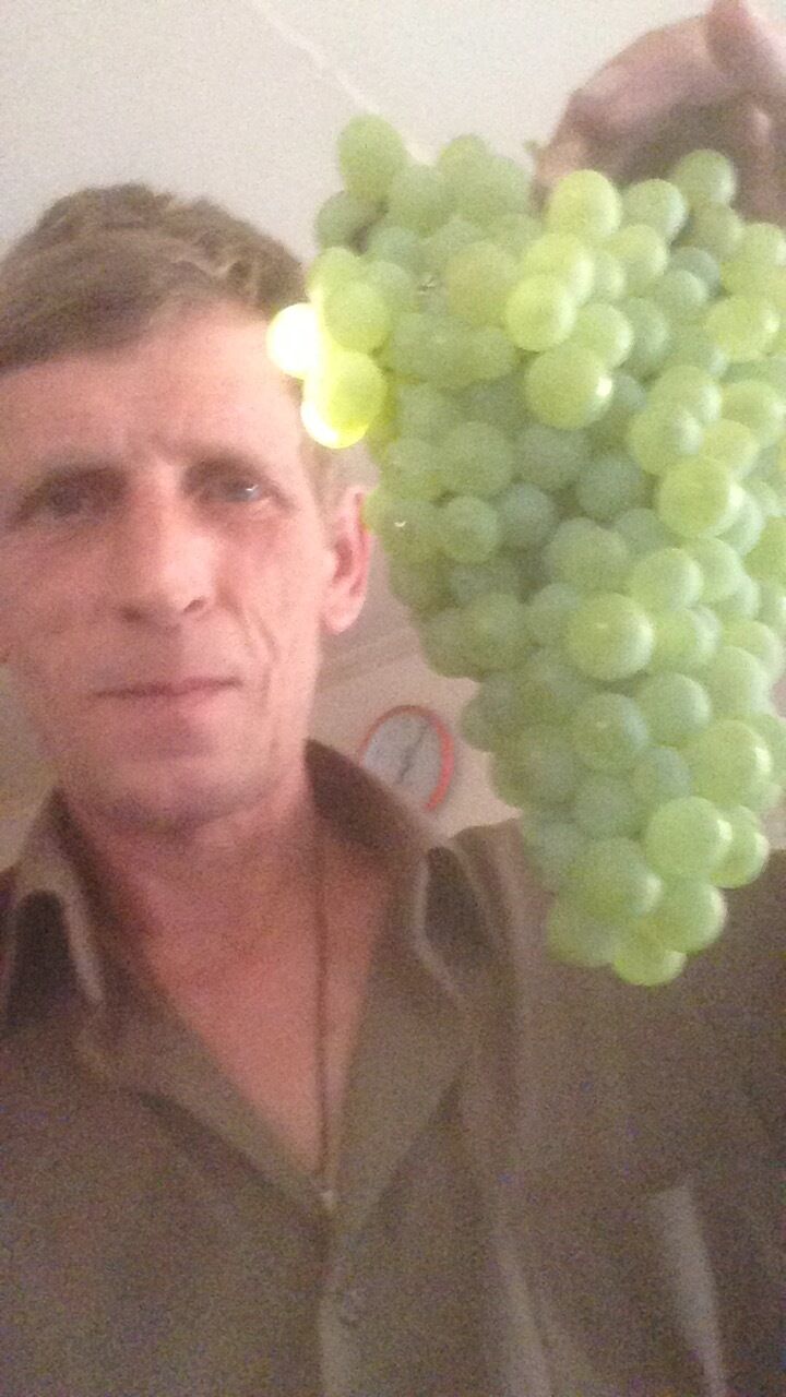 ���� 23330061 ������� ������, 57 ���, ���� ���������� � ������