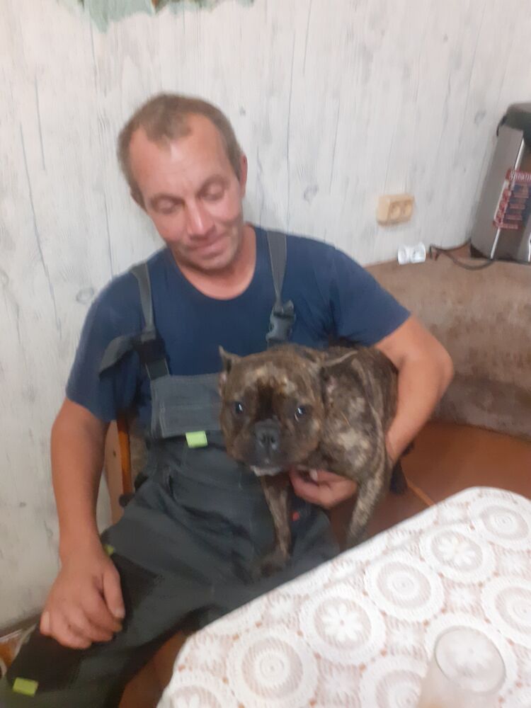 ���������� ������, ���� ������� ���������, 39 ���, ������������ ��� ������, ����� � ���������