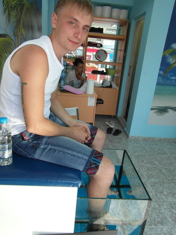 ���� 8651711 ������� ���������, 36 ���, ���� ���������� � ������������