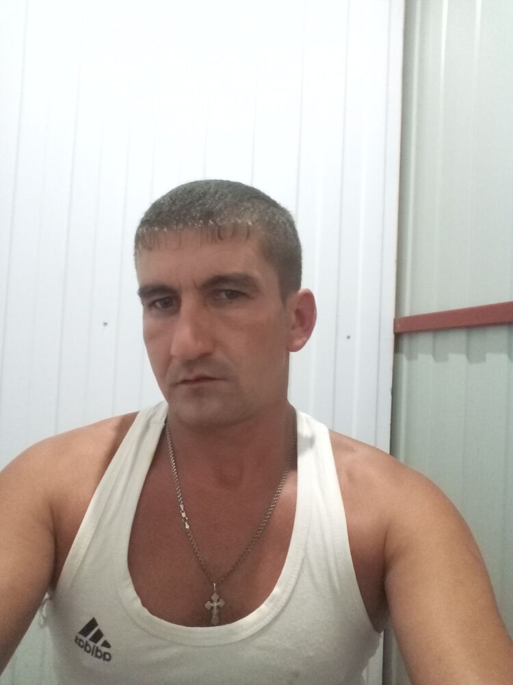  13315271  , 40 ,    