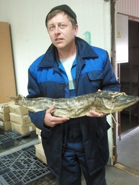 ���� 11009001 ������� �����, 40 ���, ���� ���������� � ������