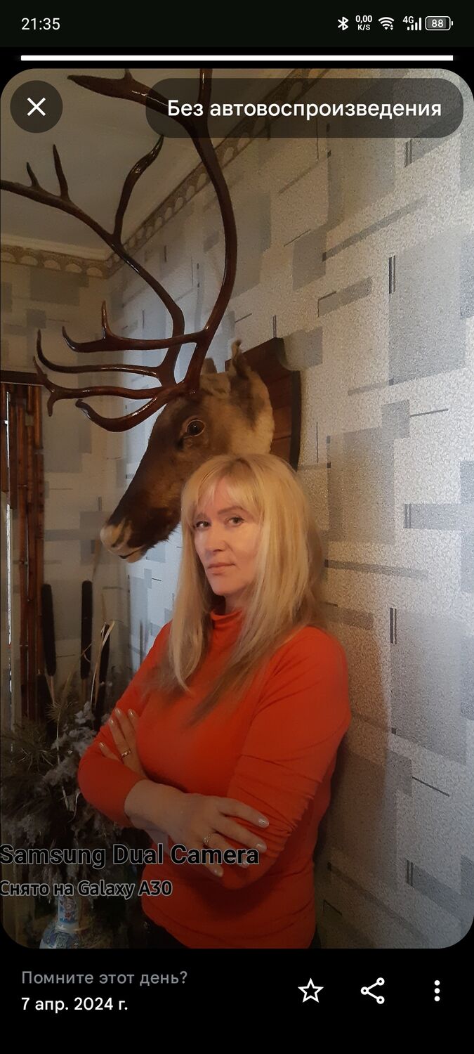  54186401  , 36 ,    -