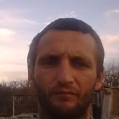  39145591  , 33 ,    