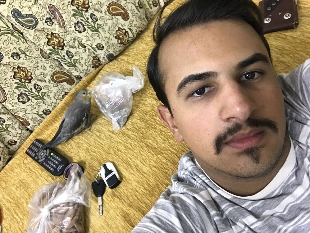 ���� 50049491 ����� Mhmd, 18 ���, ���� ���������� � ������