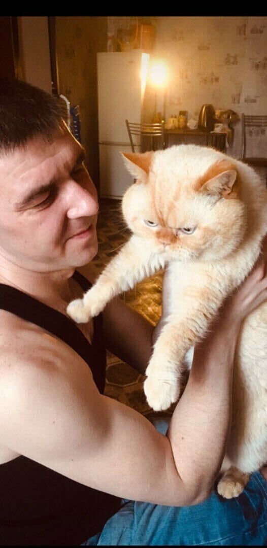  39322511  , 35 ,    -