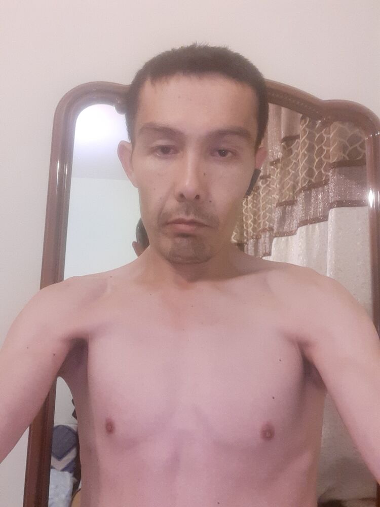  31014381  , 41 ,    -