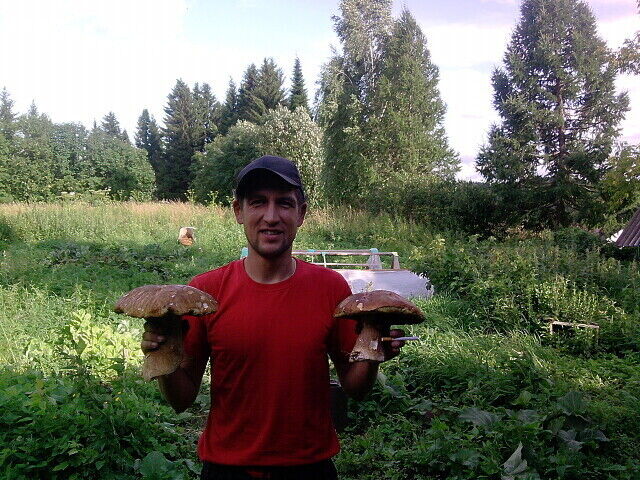 ���� 20045401 ������� �������, 44 ����, ���� ���������� � �������������