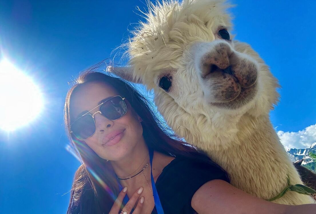 ���� 55138671 ������� ������, 33 ����, ���� ���������� � Rosengarten