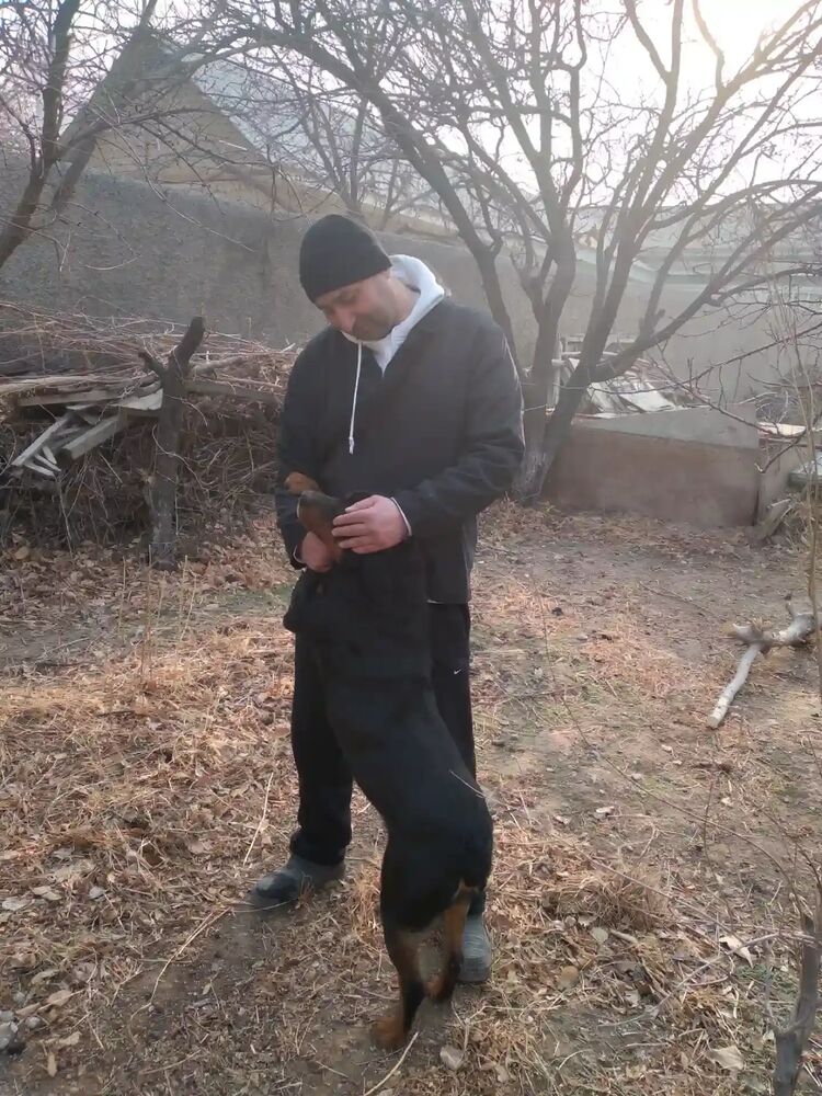 ���� 28171011 ������� ������, 42 ����, ���� ���������� � ������