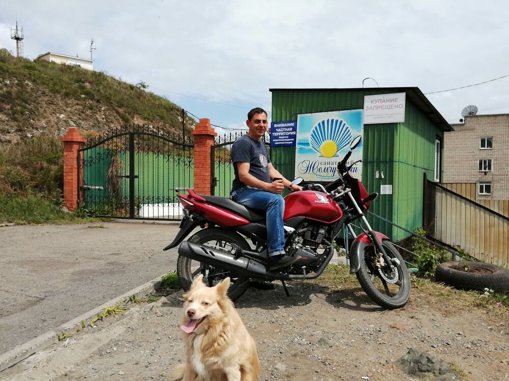 ���� 16532981 ������� �������, 43 ����, ���� ���������� � �������