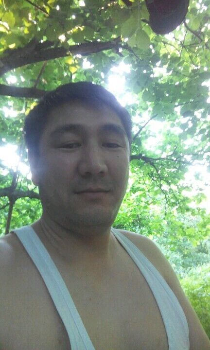 ���������� ����������, ���� ������� ������, 46 ���, ������������ 