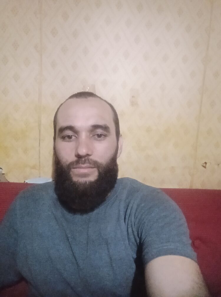  50958661  , 33 ,    