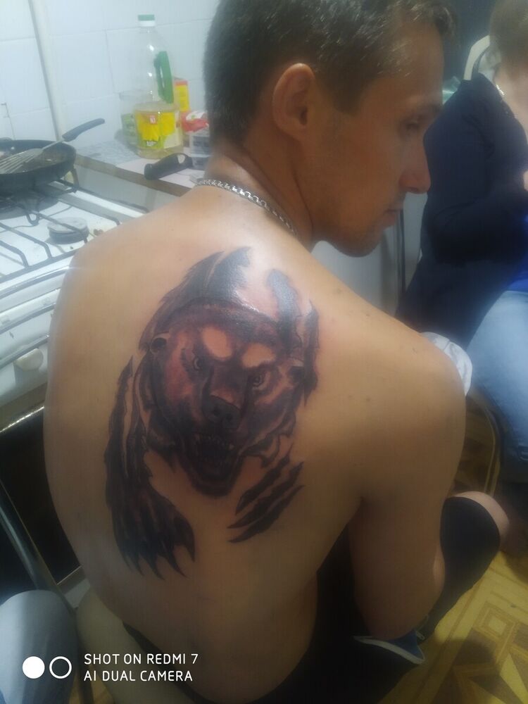  20841961  , 36 ,    