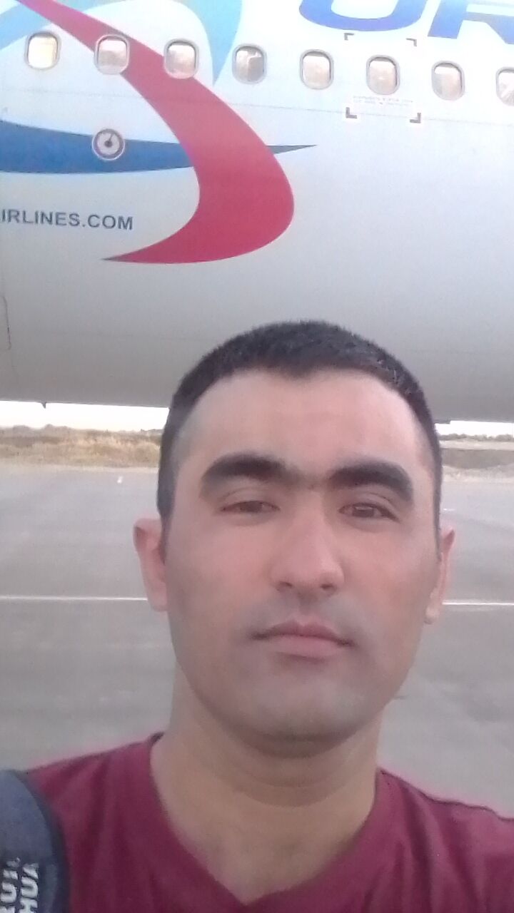  33035101  , 33 ,    