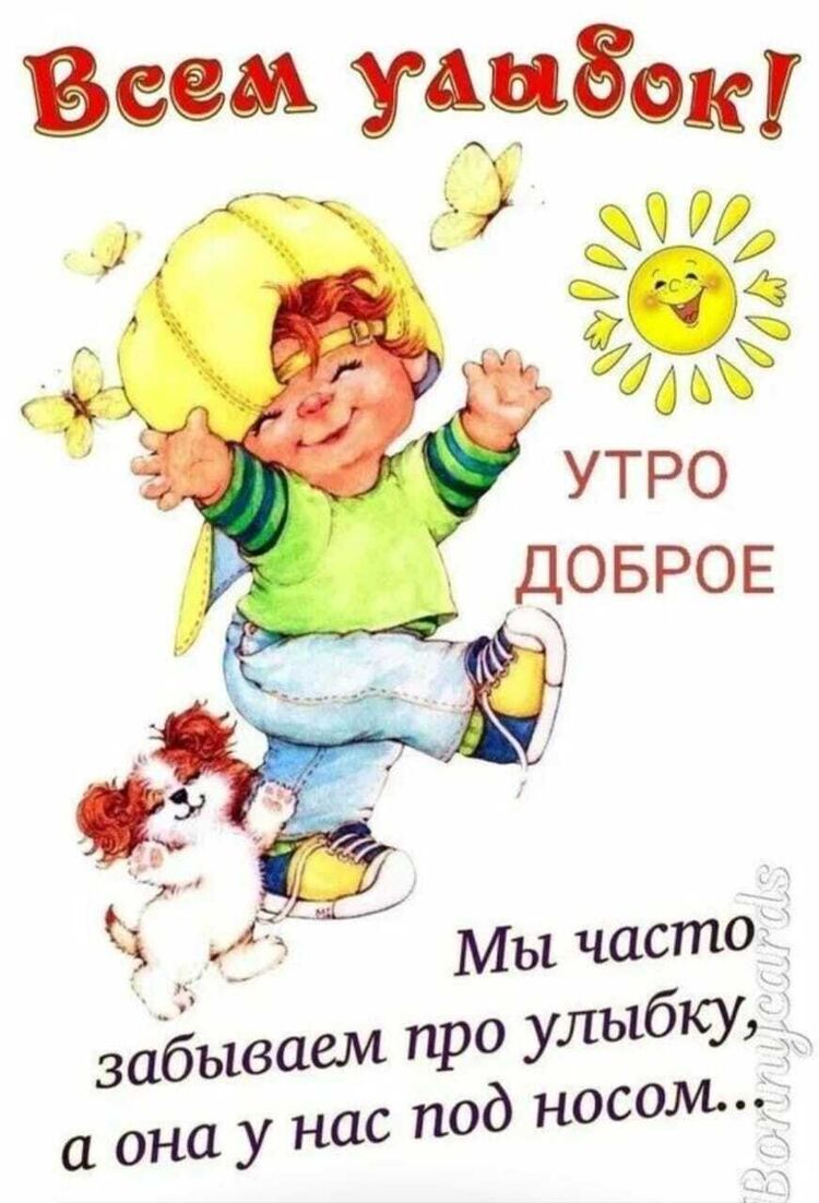 ���� 45149351 ������� �����, 36 ���, ���� ���������� � ����������