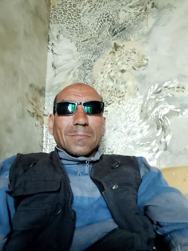  53643671  , 43 ,    