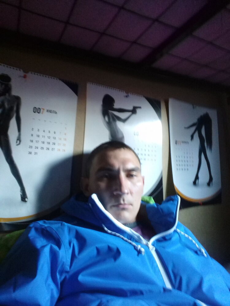  8243291  , 39 ,    -