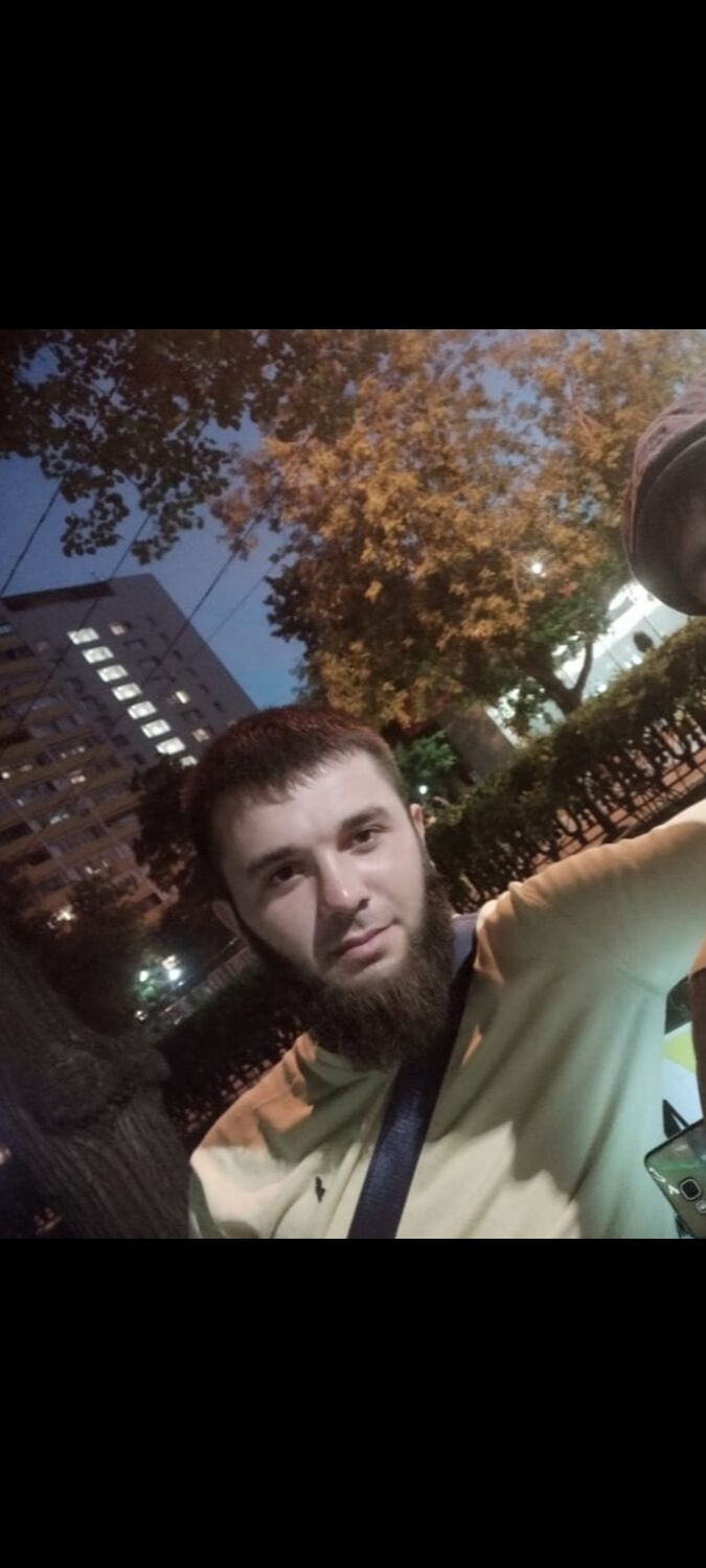  33363641  , 31 ,    