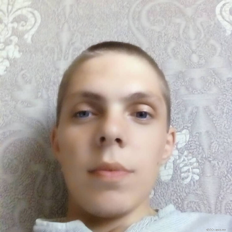  18184321  , 31 ,    