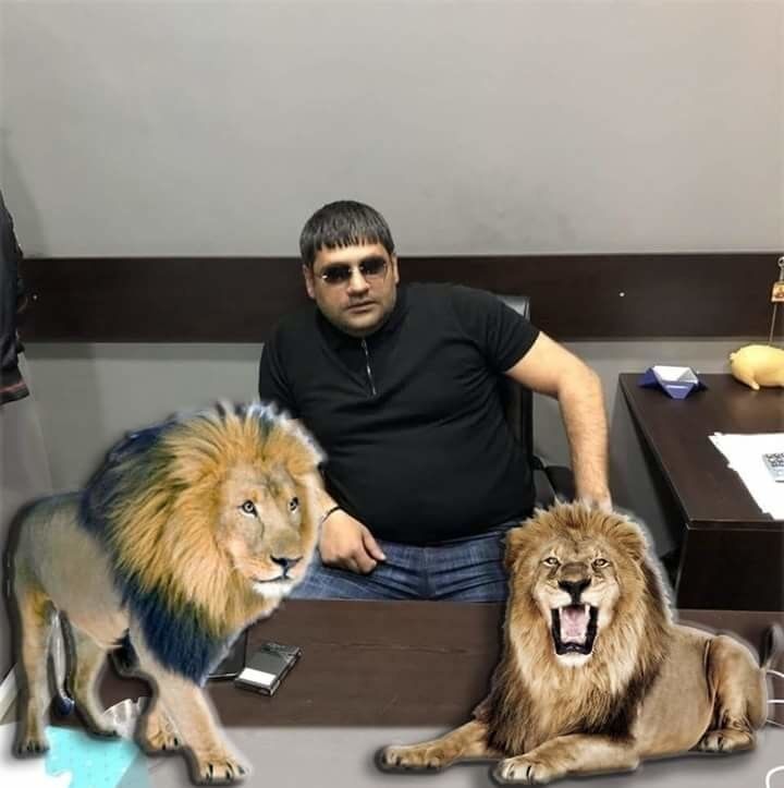 ���� 15152521 ������� ����, 41 ���, ���� ���������� � ������