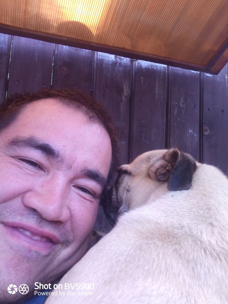 ���� 55203821 ������� �����, 39 ���, ���� ���������� � ����������