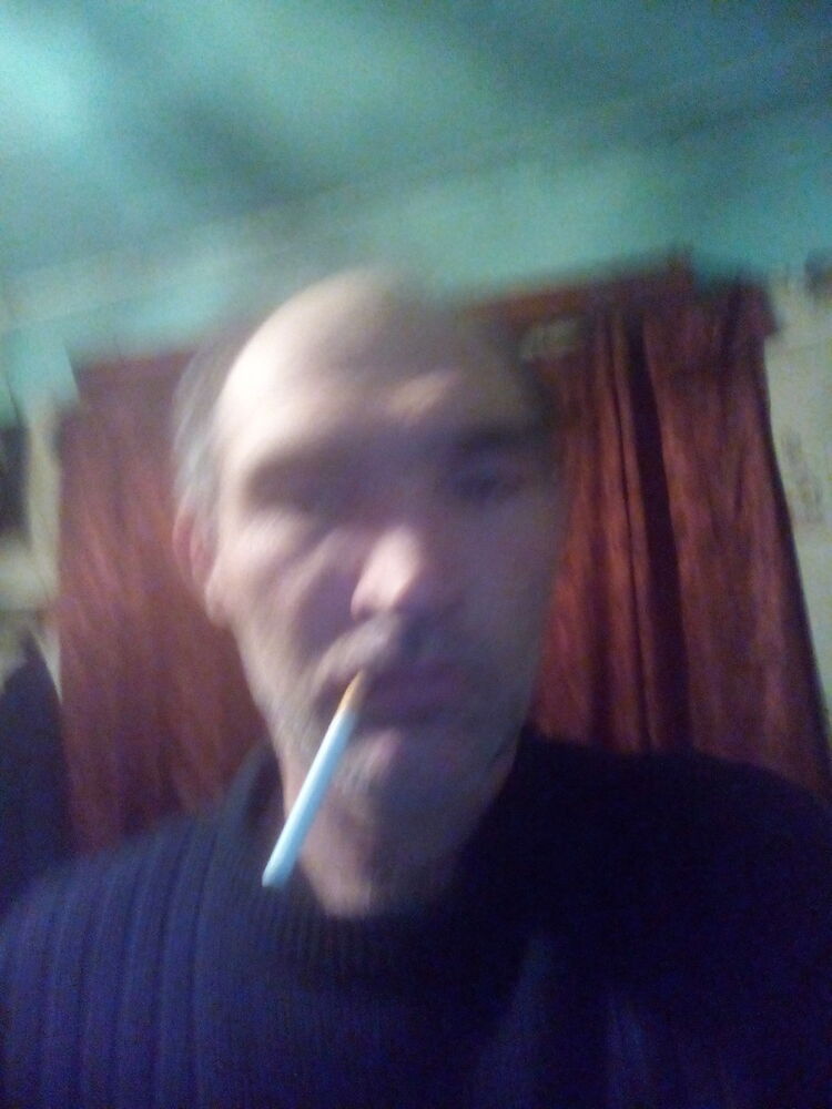  11311381  ϸ, 51 ,    