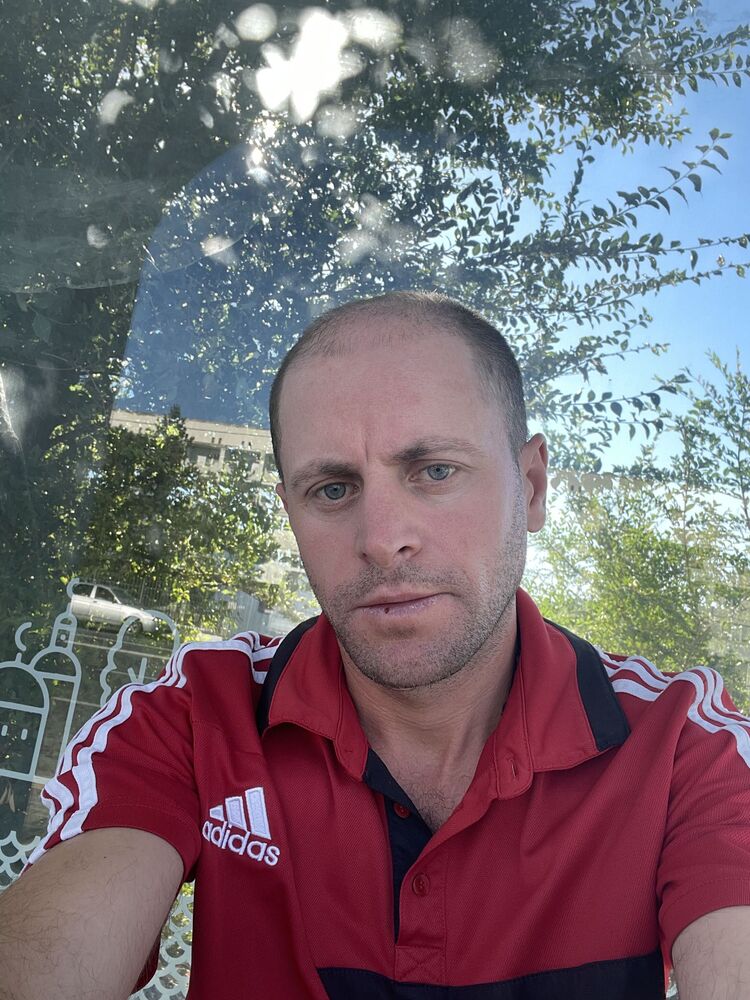 ���� 47103391 ������� �������, 40 ���, ���� ���������� � ���������