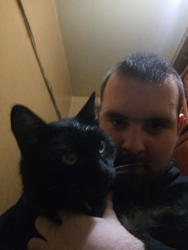 ���� 17050441 ������� ����, 29 ���, ���� ���������� � �����