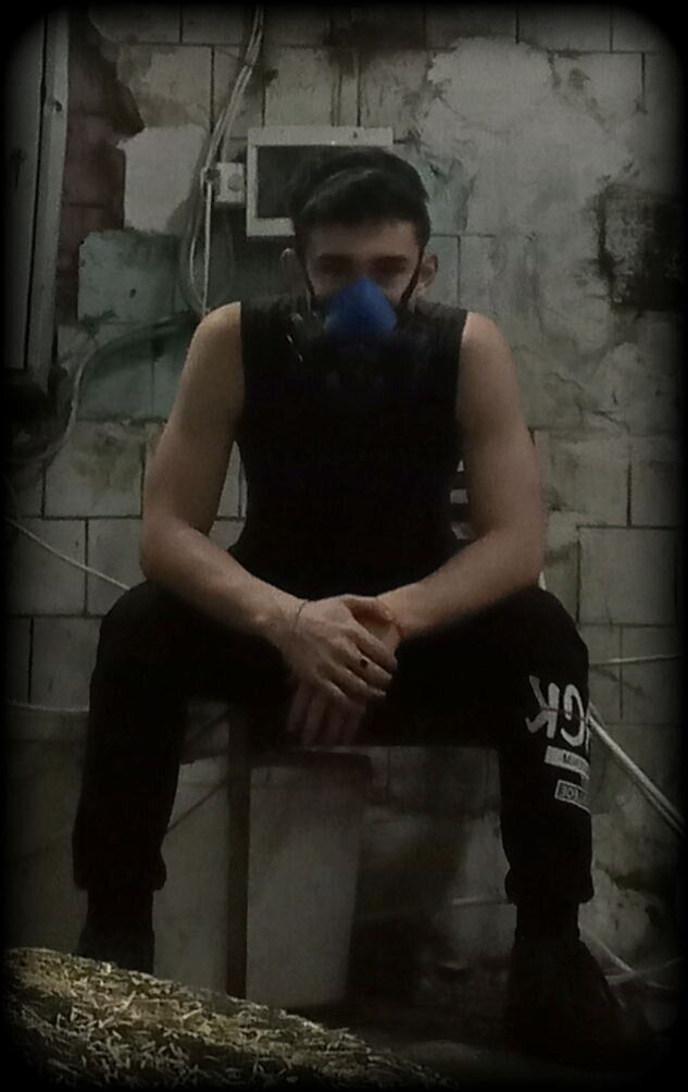  38805251  , 20 ,    