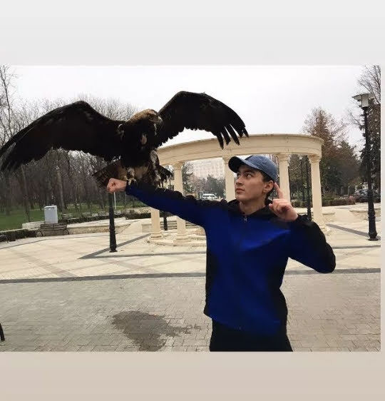 ���� 37076931 ����� �������, 20 ���, ���� ���������� � ������