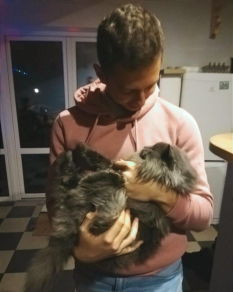 ���� 38656591 ������� ����, 26 ���, ���� ���������� � ������