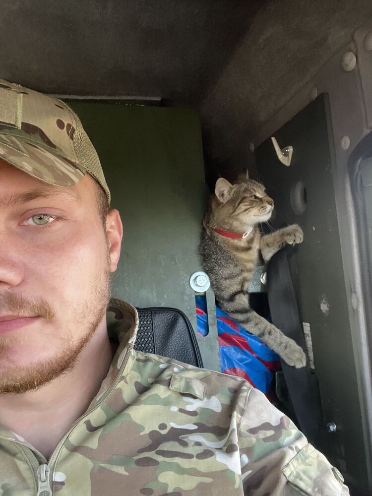 ���������� ������ ��������, ���� ������� Grizzly, 27 ���, ������������ ��� ���������