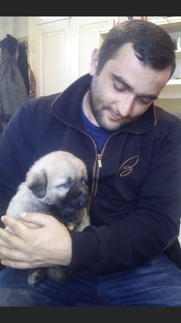 ���� 35116601 ������� �����, 38 ���, ���� ���������� � ������