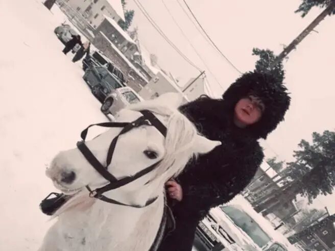 ���������� Essen, ���� ������� ��������, 43 ����, ������������ ��� c�������� ���������, ���������