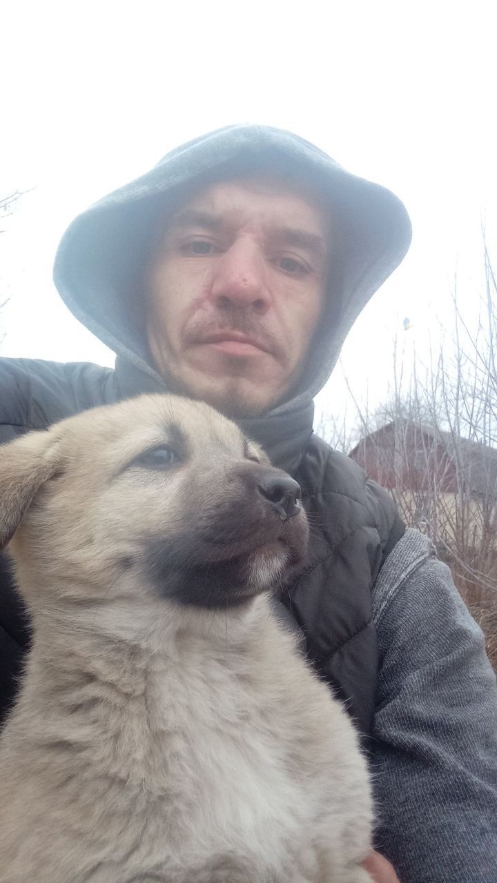  ,   , 35 ,   ,   , 