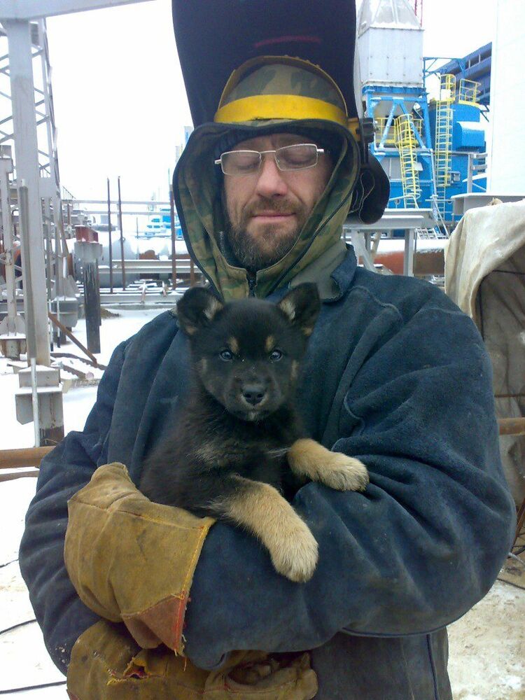 ���������� ��������, ���� ������� ������� ����, 59 ���, ������������ ��� ������, ����� � ���������, c�������� ���������, ���������