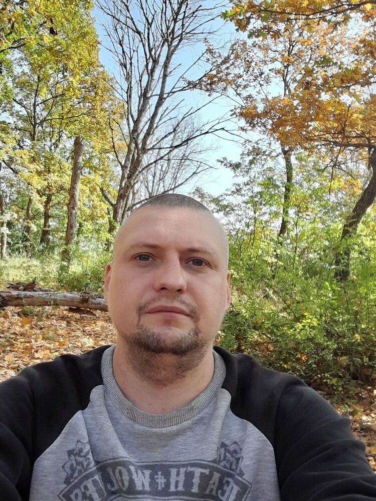 ���� 26431231 ������� �������, 40 ���, ���� ���������� � ����������