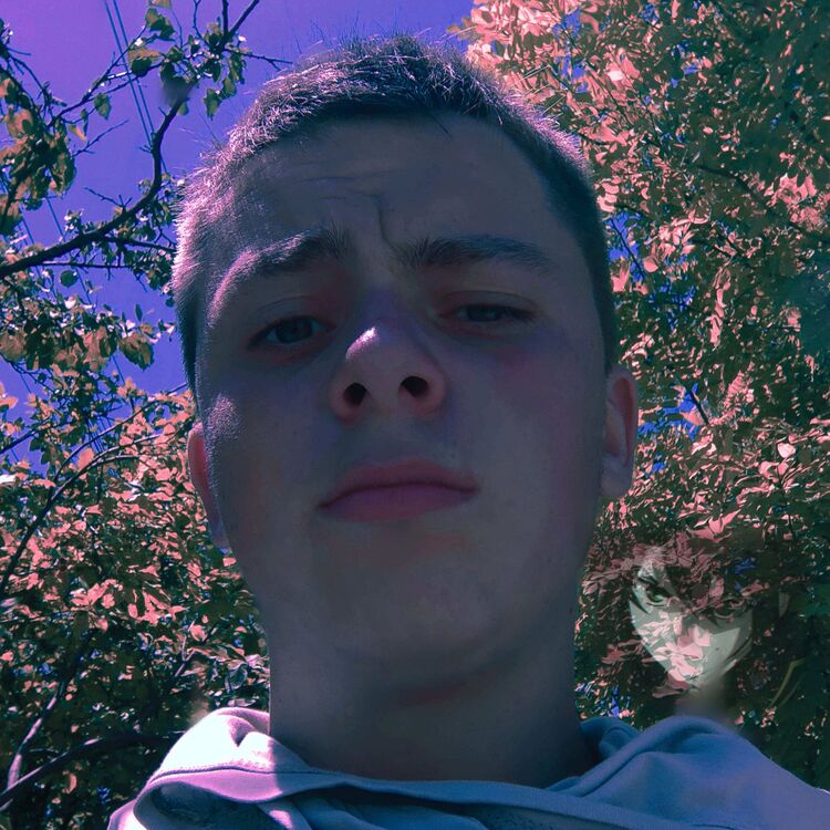 ���������� ����, ���� ����� �������, 22 ����, ������������ ��� ���������