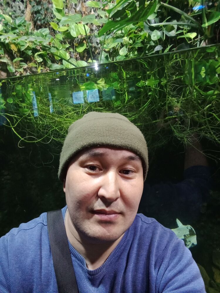 ���� 37720441 ������� ���, 38 ���, ���� ���������� � ������