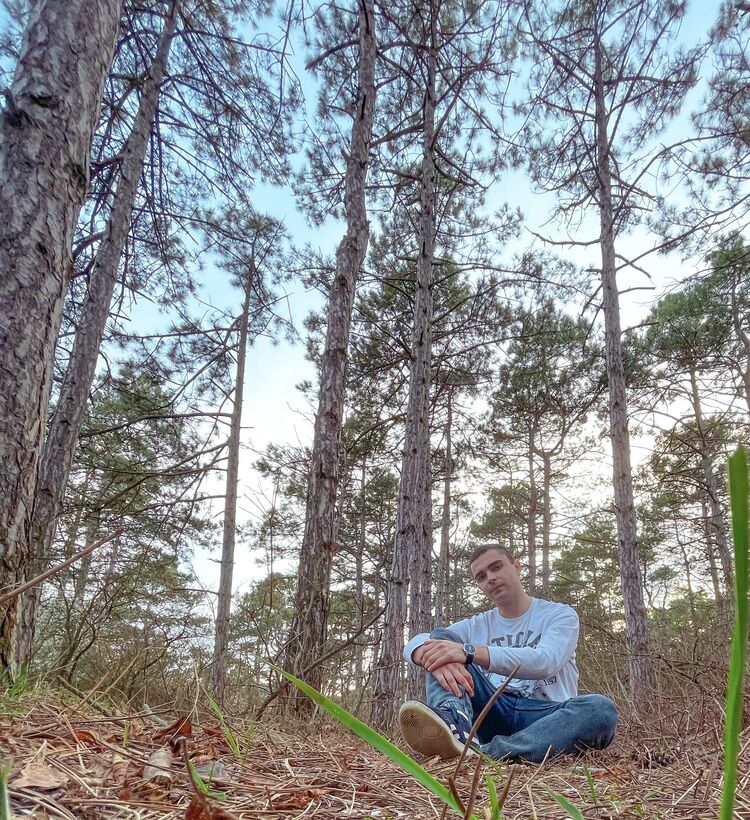 ���� 33952981 ������� ����, 28 ���, ���� ���������� � �����