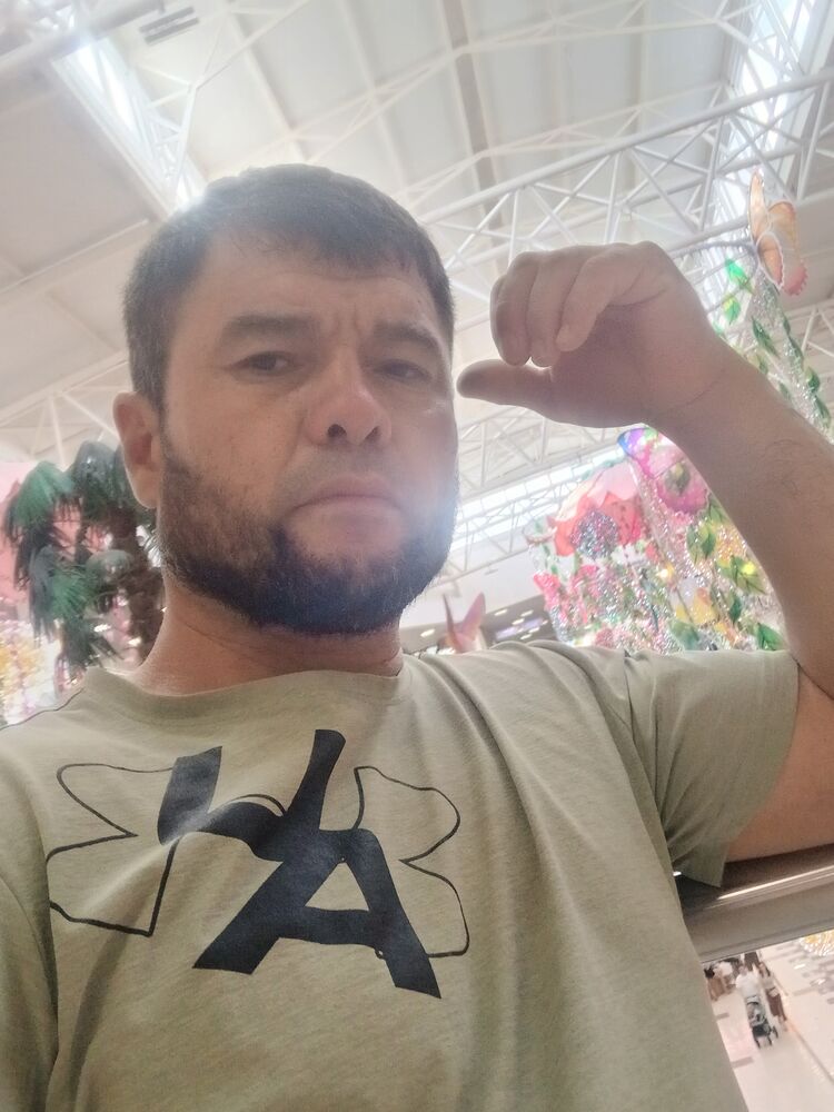  53574011  , 43 ,    