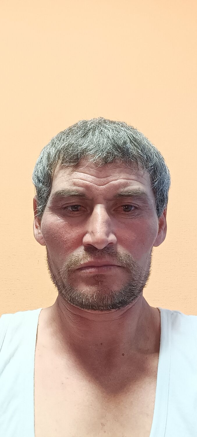  45694201  , 39 ,    