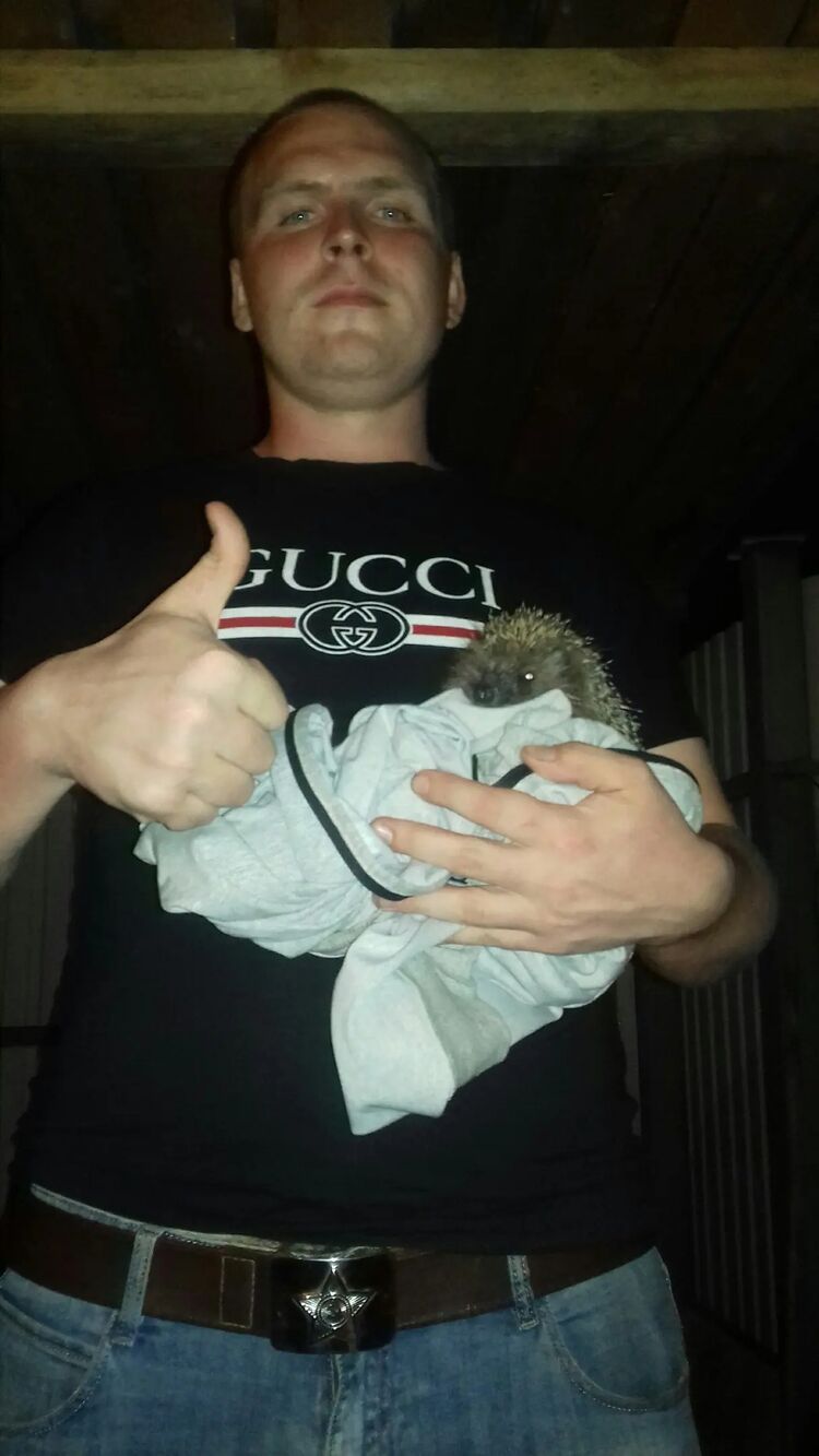 ���� 43049821 ������� ����, 32 ����, ���� ���������� � ������