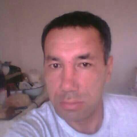  ,   , 51 ,   