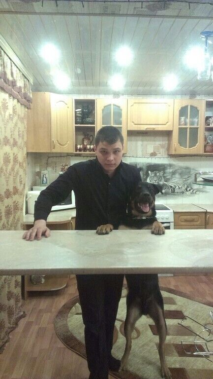 ���������� �������, ���� ������� ���������, 35 ���, ������������ ��� ������, ����� � ���������, c�������� ���������