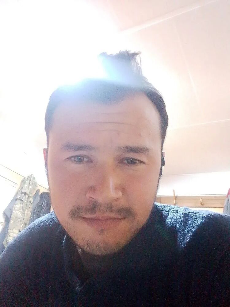 ���� 56050291 ������� ������, 33 ����, ���� ���������� � �����������