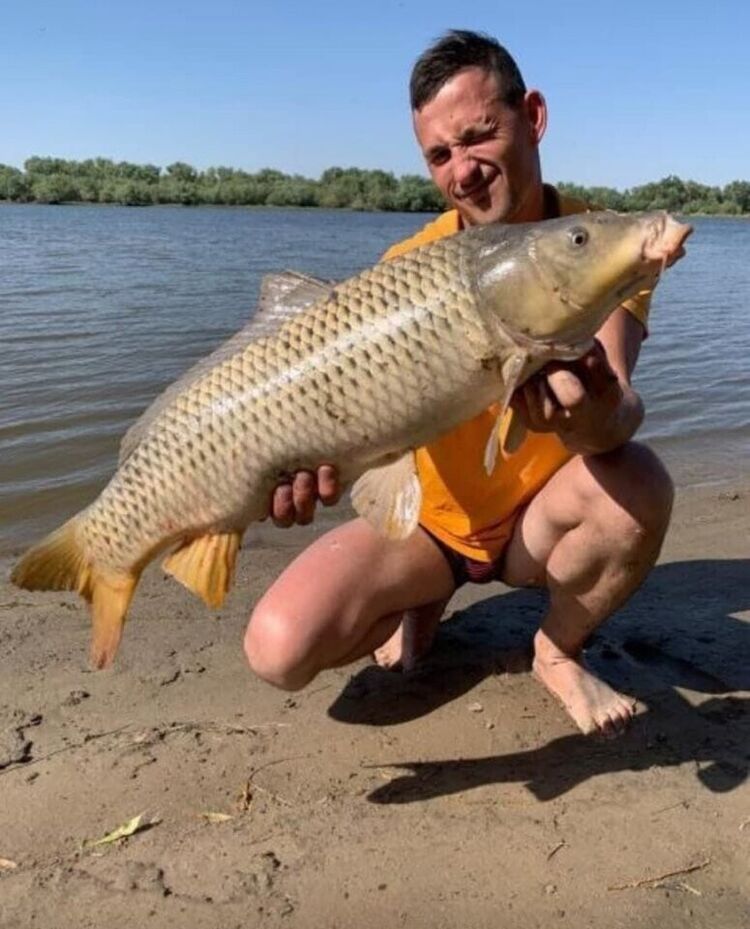 ���� 24875181 ������� �����, 35 ���, ���� ���������� � �������������