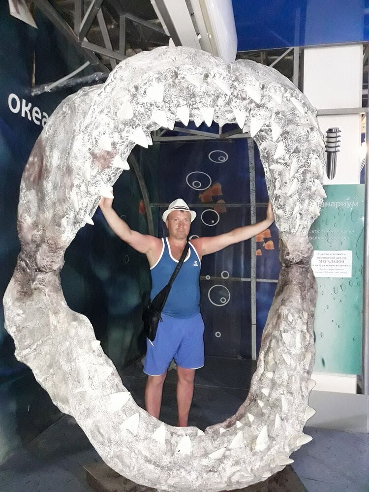 11180631  , 47 ,    